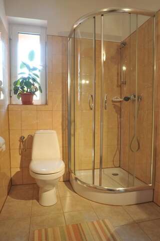 Фермерские дома Ranczo u Jana Строне-Слёнске Четырехместный номер с собственной ванной комнатой-5